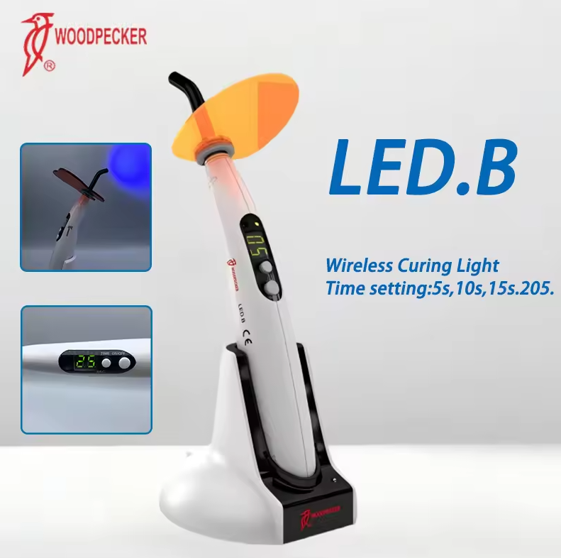 Dental Curing Light Woodpecker - Teeth Whitening Professional 리뷰 및 가격