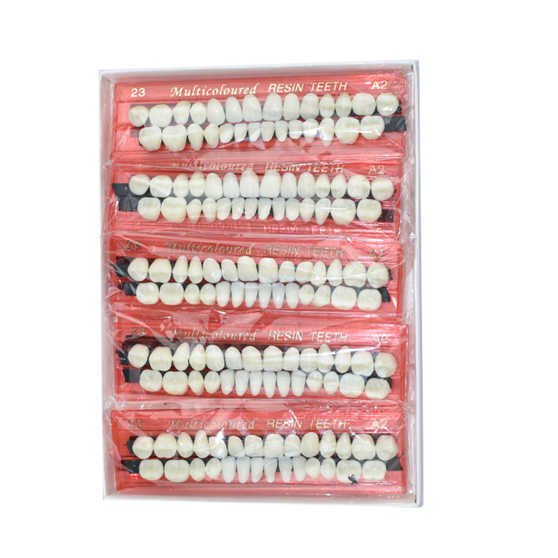 28 Teeth Dental Resin Denture  - Teeth Whitening Flash 리뷰 및 가격