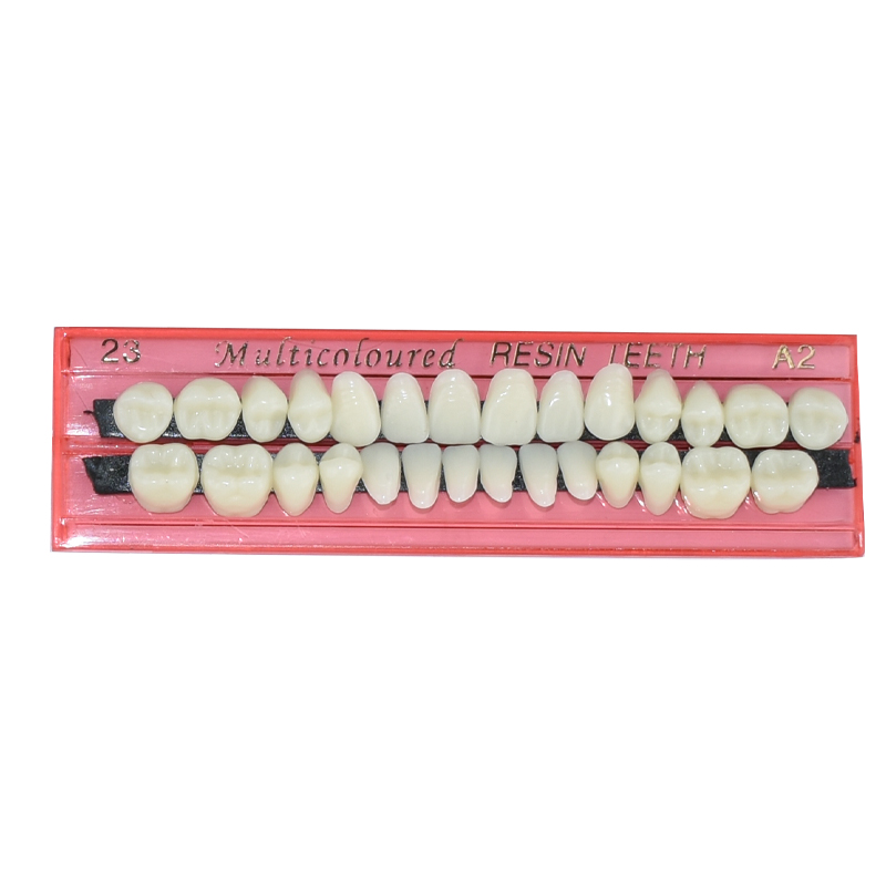 28 Teeth Dental Resin Denture  - Teeth Whitening Flash 리뷰 및 가격