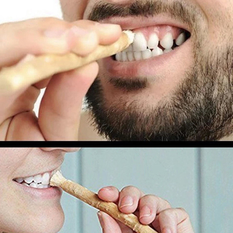 Natural Miswak Siwak Toothbrus - Teeth Whitening Natural 리뷰 및 가격