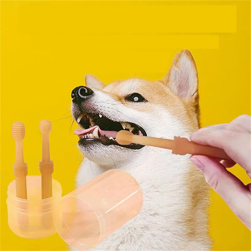 Teeth Whitening Dog Cat Silico - Teeth Whitening Vape 리뷰 및 가격