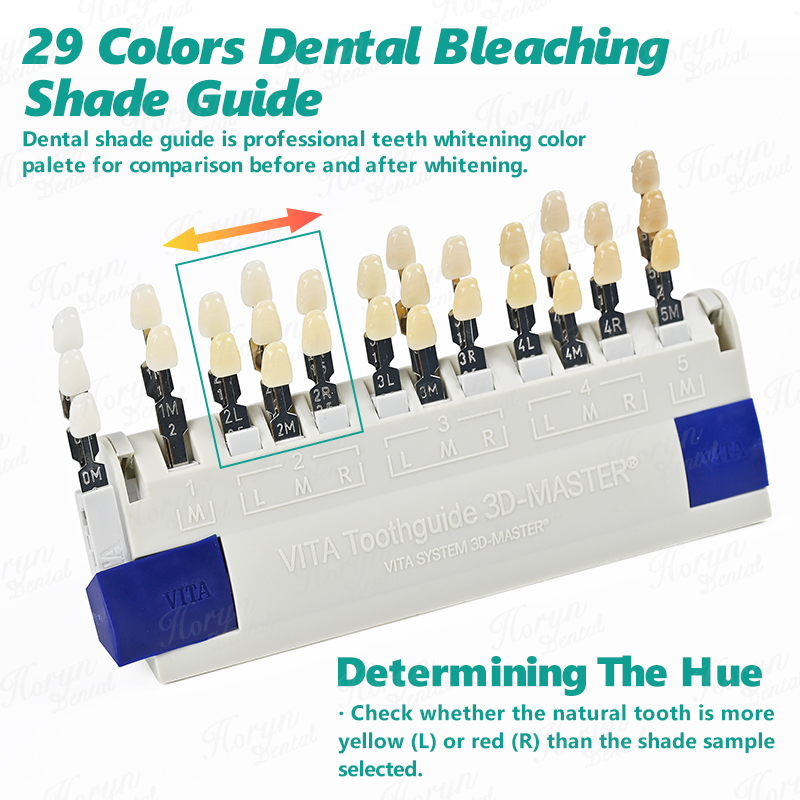 Vita 3D Master Dental Lab Blea - Teeth Whitening Flash 리뷰 및 가격