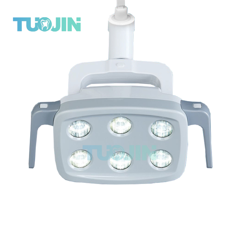 6LED Dental LED Lamp Oral Ligh - Teeth Whitening Professional 리뷰 및 가격