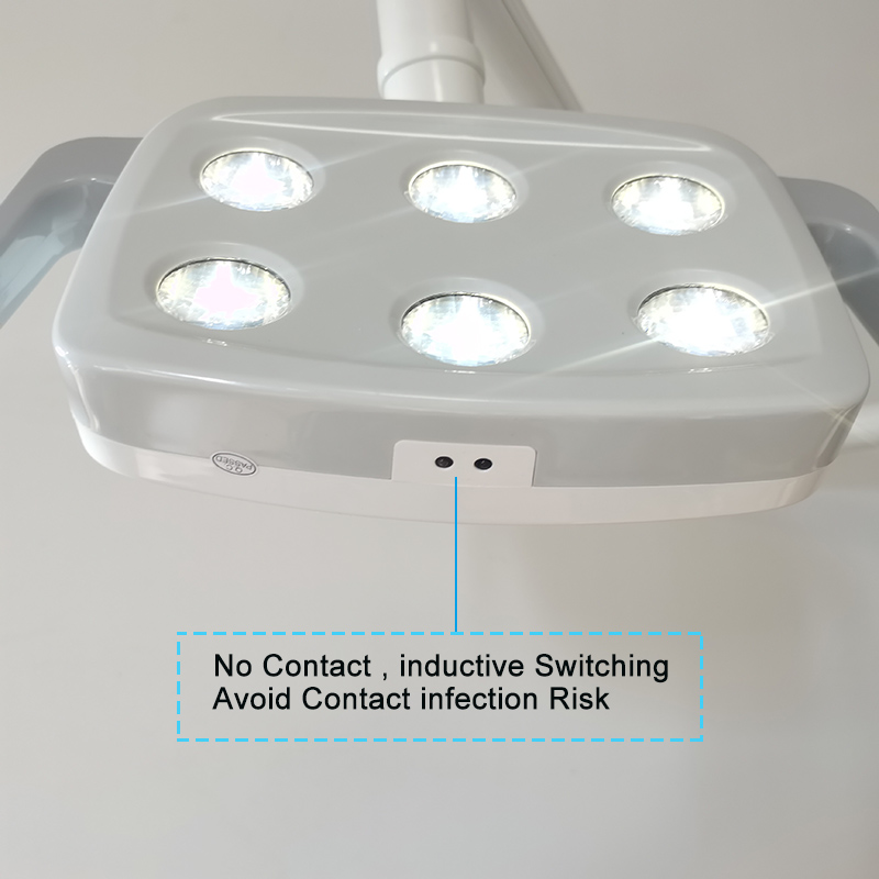6LED Dental LED Lamp Oral Ligh - Teeth Whitening Professional 리뷰 및 가격