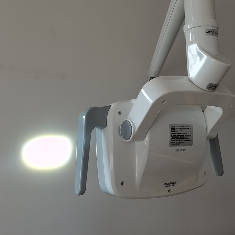 6LED Dental LED Lamp Oral Ligh - Teeth Whitening Professional 리뷰 및 가격