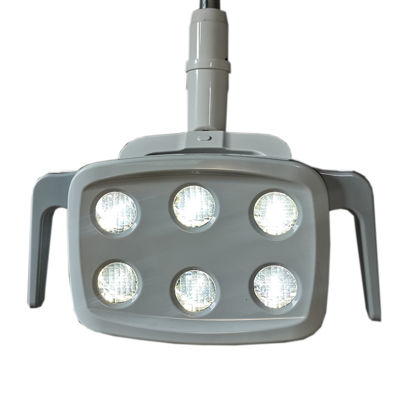 6LED Dental LED Lamp Oral Ligh - Teeth Whitening Professional 리뷰 및 가격