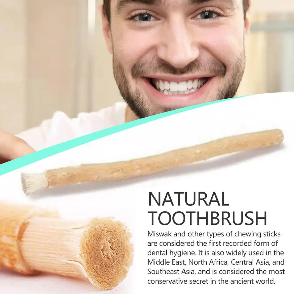 Portable Natural Miswak Toothb - Teeth Whitening Naturally 리뷰 및 가격